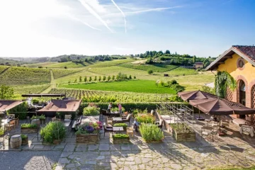 Gavi dobyl Ameriku: Villa Sparina je európskym vinárstvom roka 2021